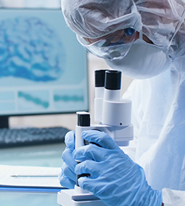 專注于自主研發